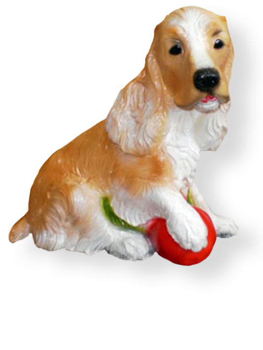 Собака с мячом