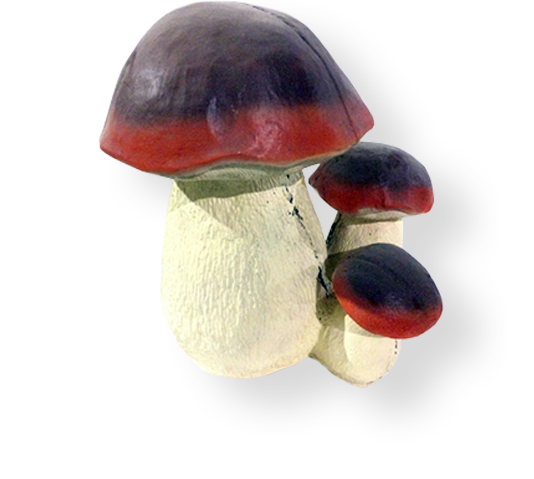 Тройной гриб большой