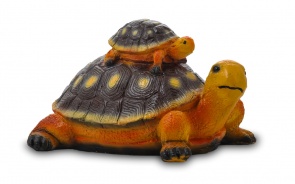Две черепахи 